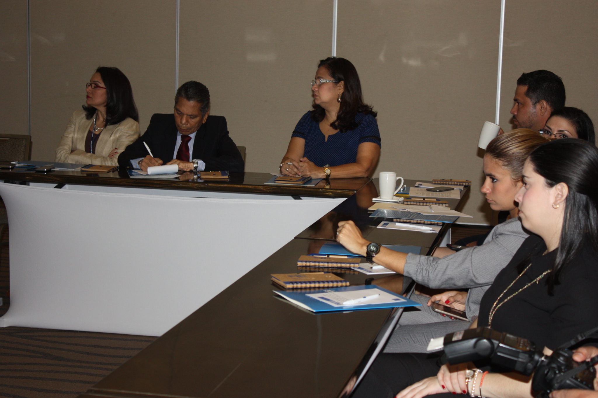 Lee más sobre el artículo Procuraduría de la Administración participa del taller “Declaración y Plan de Acción de Brasil y su Implementación en el Estado Panameño”
