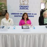 “ACCESO A LA JUSTICIA DE LAS PERSONAS CON DISCAPACIDAD EN EL ÁMBITO LABORAL Y CONSTITUCIONAL”