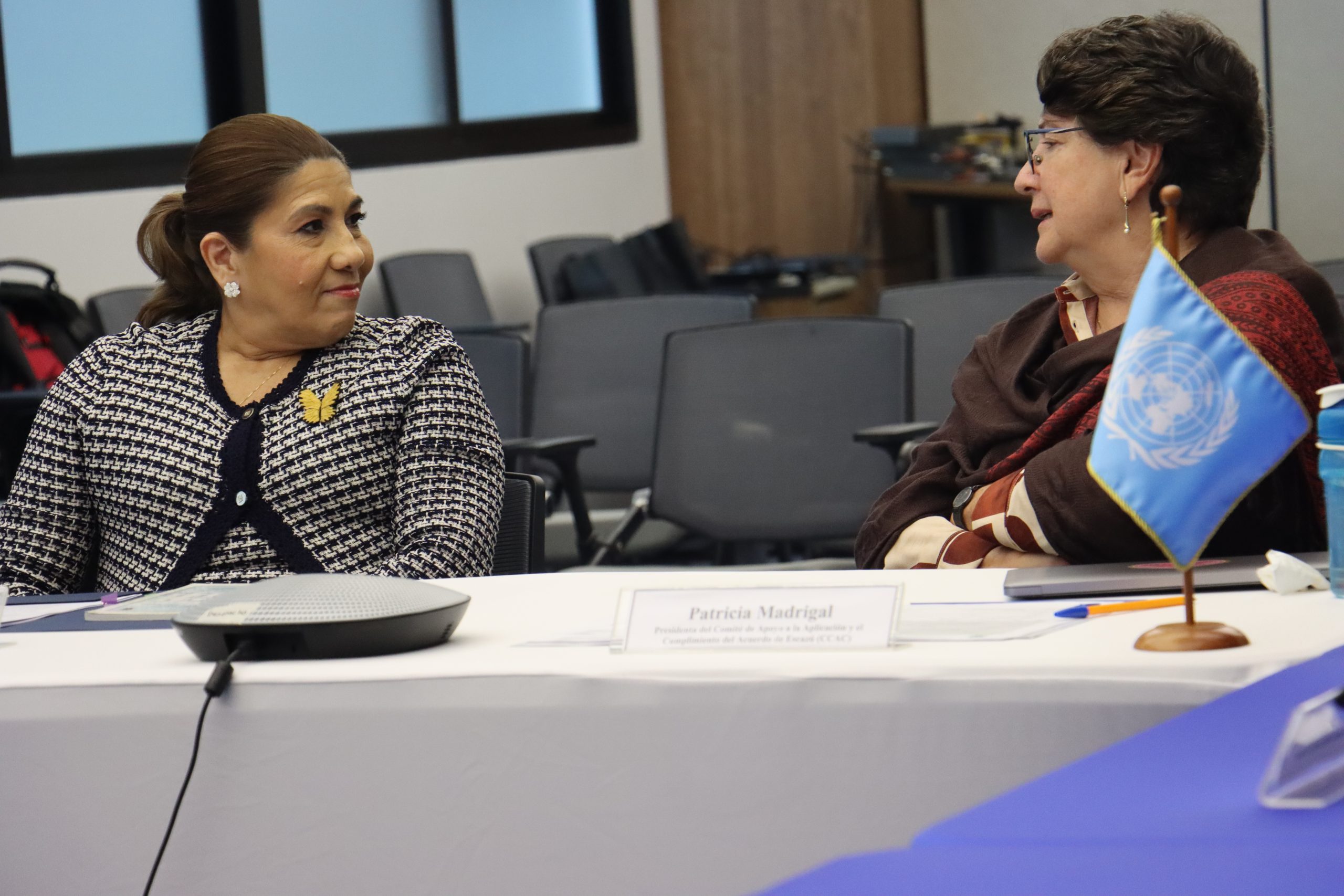 Lee más sobre el artículo PROCURADORA VILLALAZ DE ALLEN, DESTACA ROL INSTITUCIONAL EN ENCUENTRO SOBRE EL ACUERDO DE ESCAZÚ