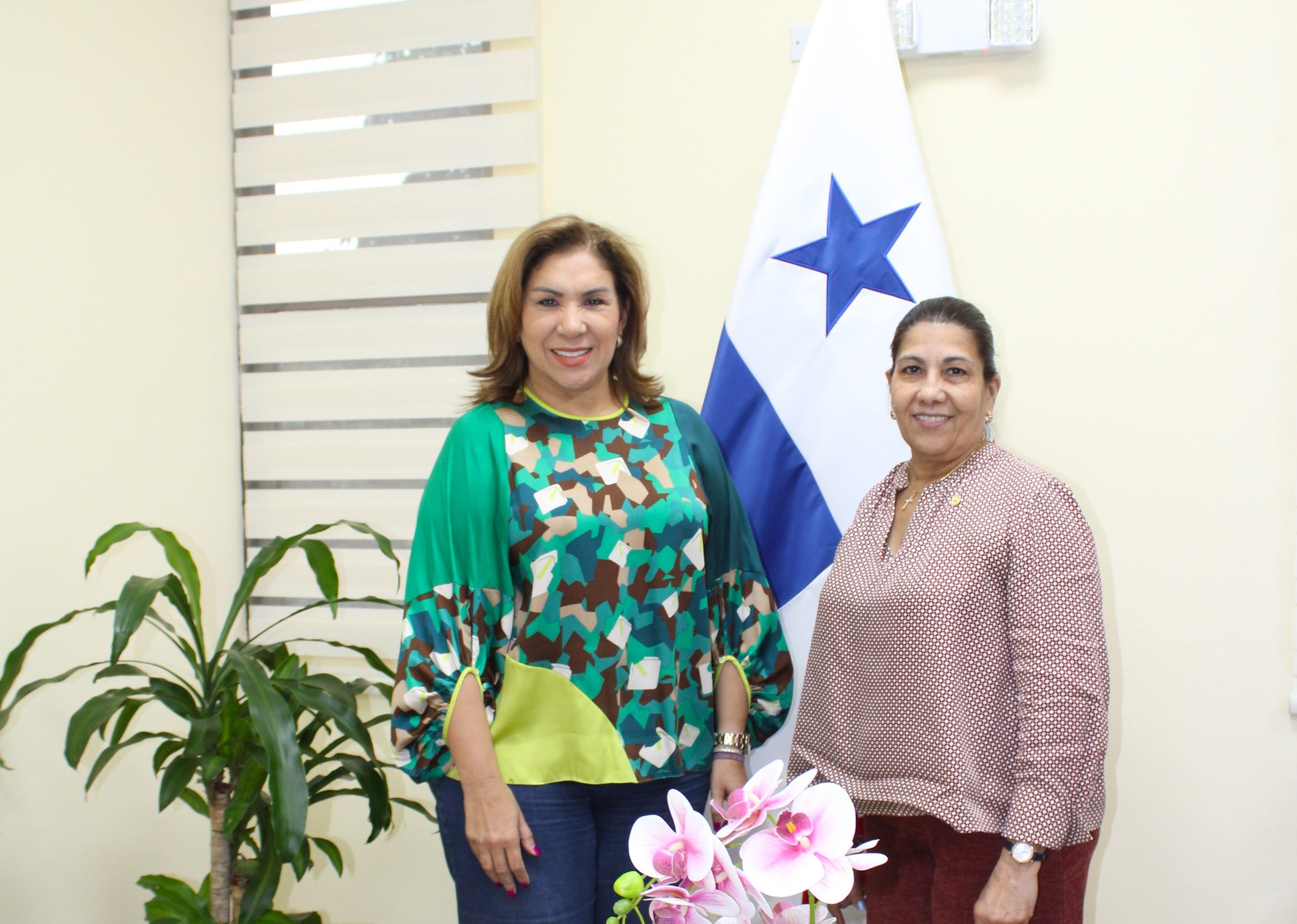 Lee más sobre el artículo PROCURADORA DE LA ADMINISTRACIÓN SE REÚNE CON LA PRESIDENTA DEL COLEGIO NACIONAL DE ABOGADOS